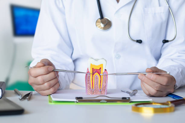 Best Emergency Denture Repair in Modesto, CA